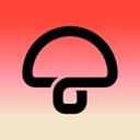 MUSHROOM GROUP OF COMPANIES UK LIMITED