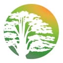 Desai Care Homes